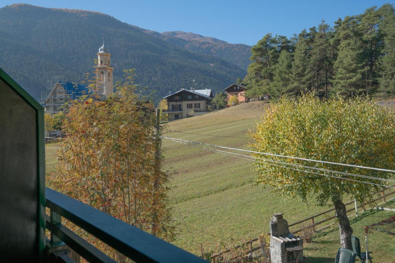 Fior D'alpe Premadio